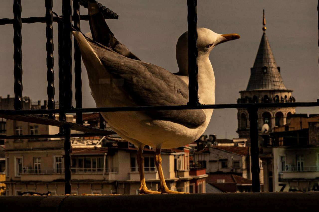 Galata M84 Apart Otel